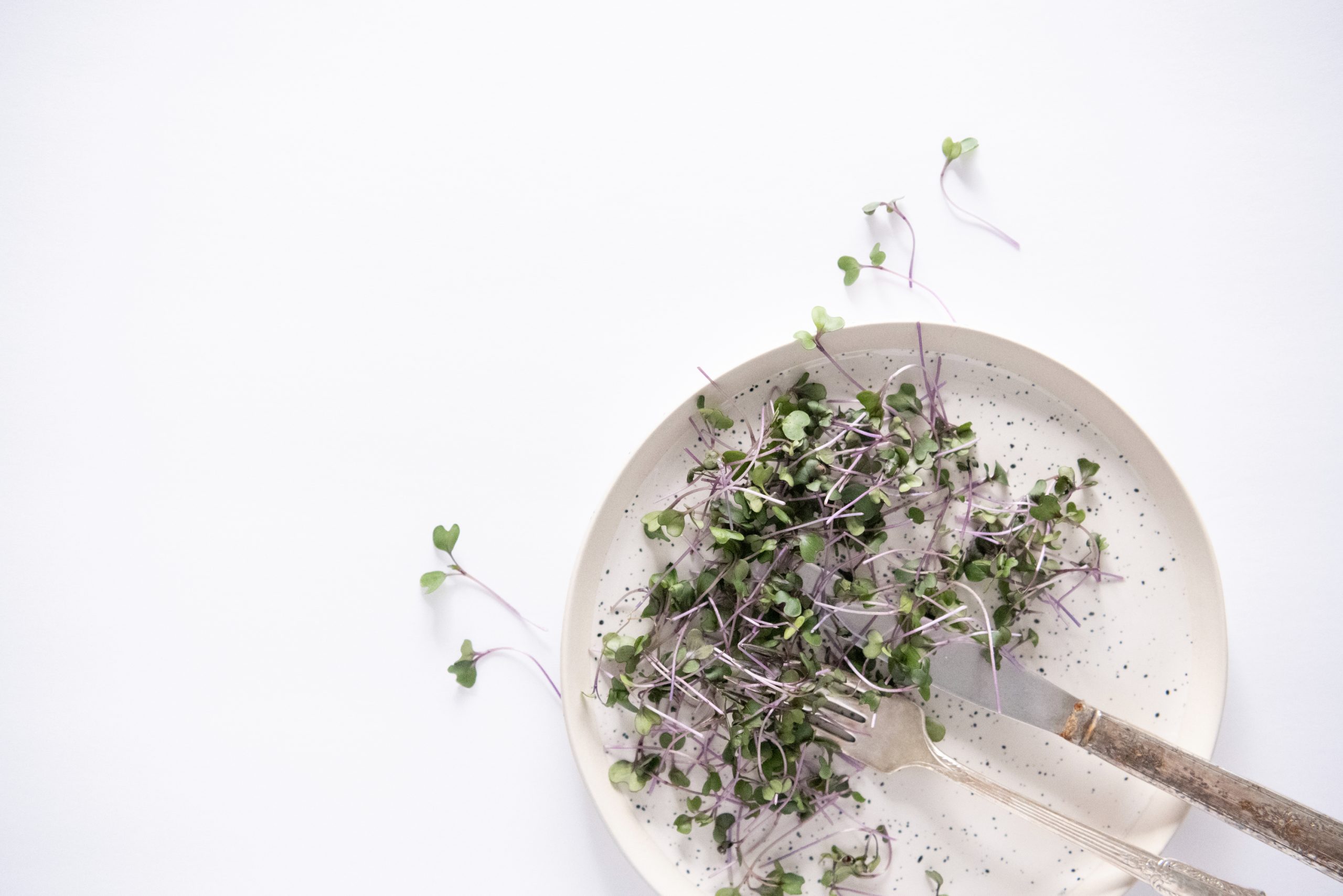 Naturopatie: o abordare holistica a sanatatii